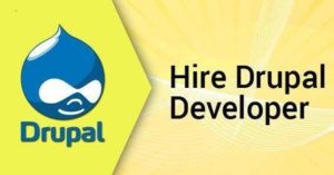 Complete Guide To Hire Drupal Developer For Your Project