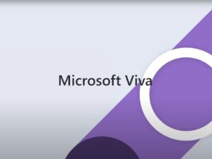 How Microsoft Viva Is Most Suitable For Internal Communications