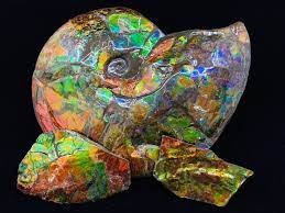 Ammolite Gemstone History Price and Jewelry Information