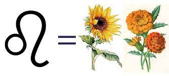 Flowers that represents Leo Sunflower