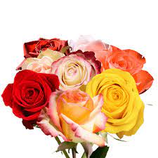 Flowers that represents Taurus Rose