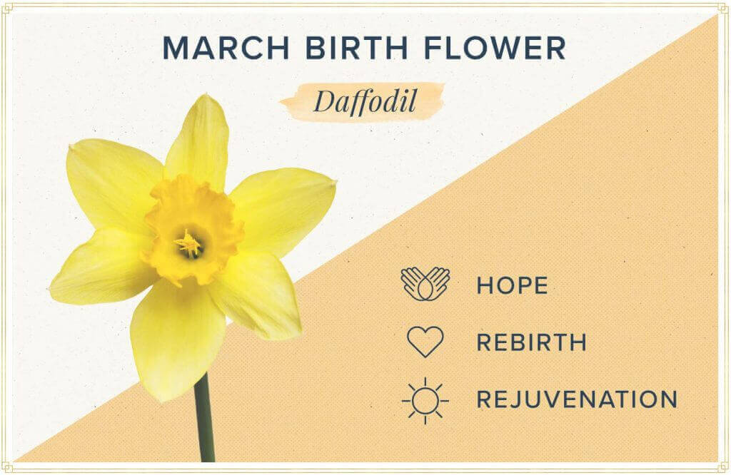 What is the March Birthstone & flower?