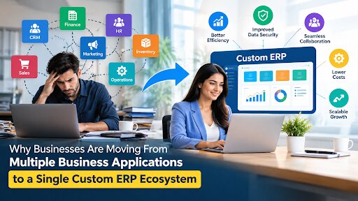 Single Custom ERP Ecosystem